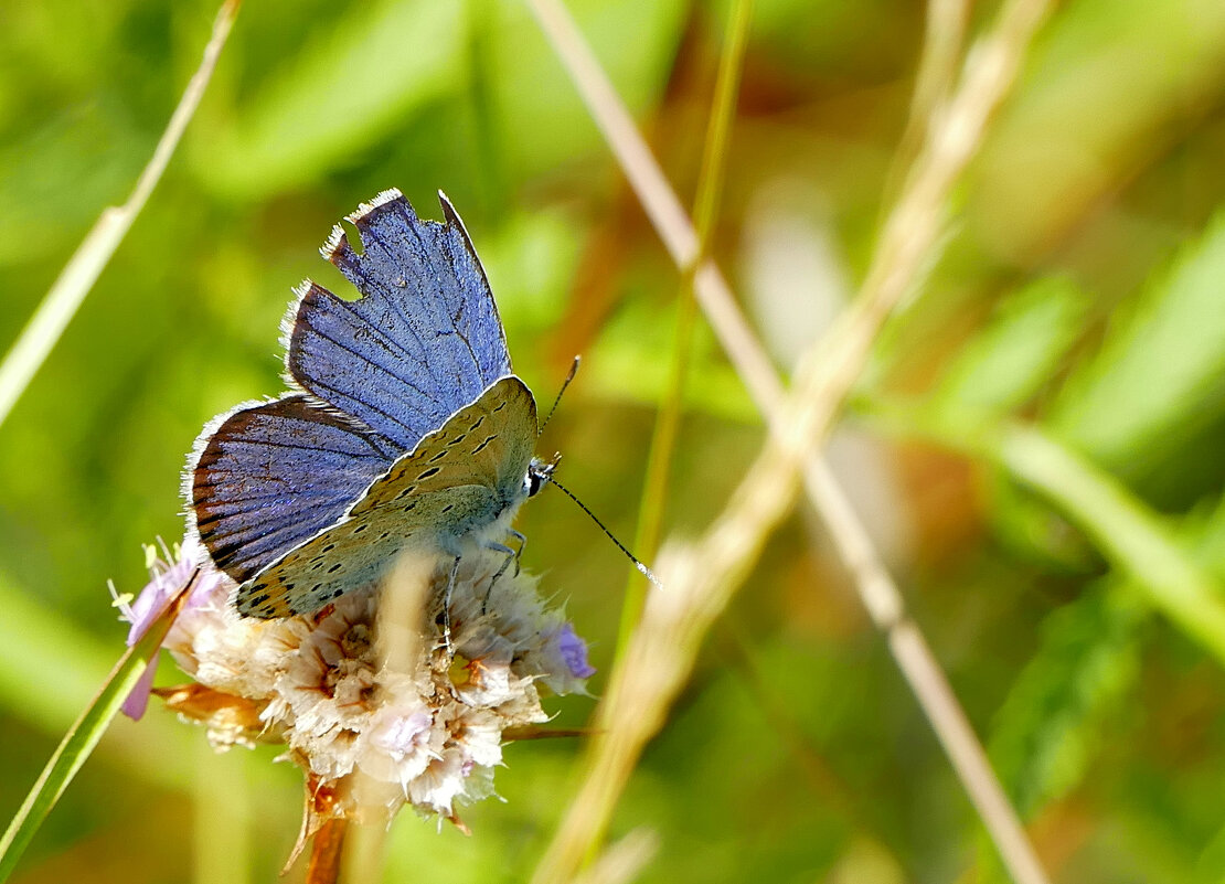 из снятого сегодня 3 - Александр Прокудин из снятого сегодня 3 - Александр Прокудин