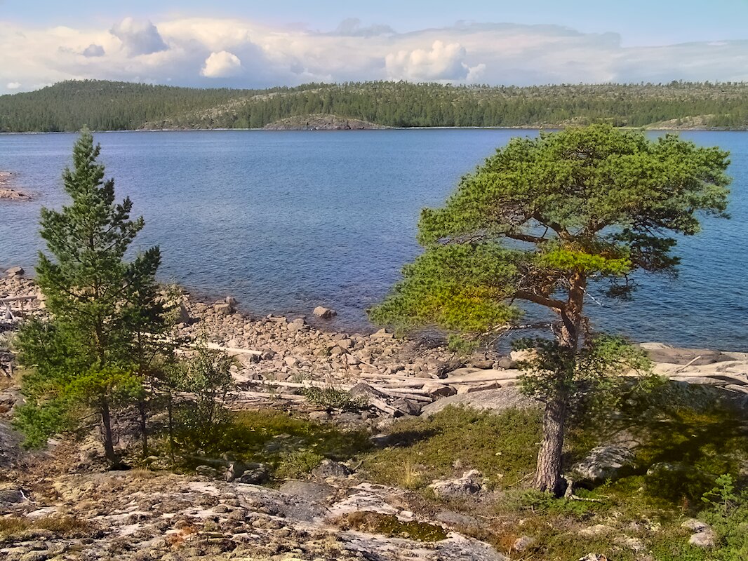 Беломорье - Andy 