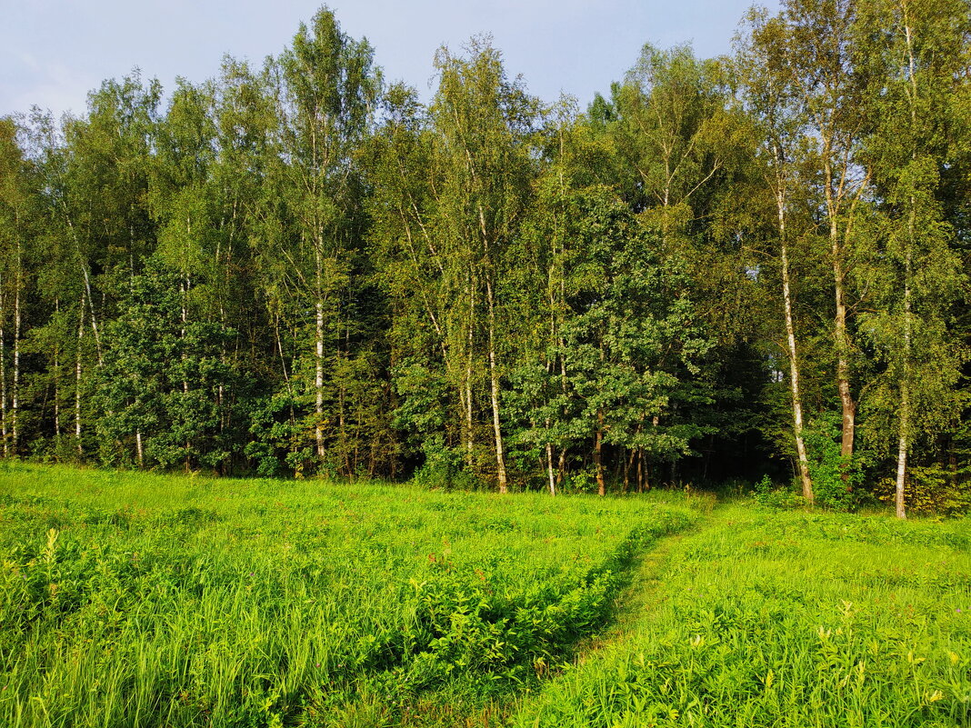 Есть 2000 км в велосезоне 2025 и 2500-й выезд на велосипеде после инфаркта 2010 - Андрей Лукьянов