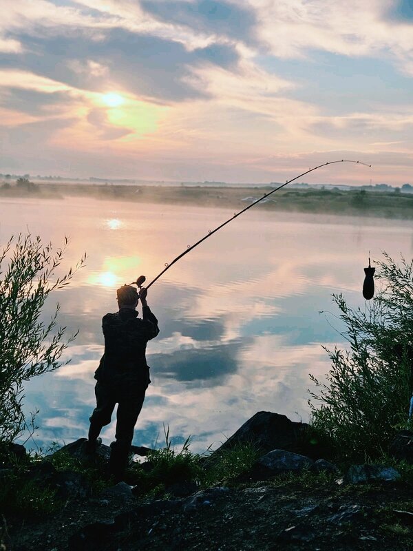 Зорька .Утро. - Георгиевич 