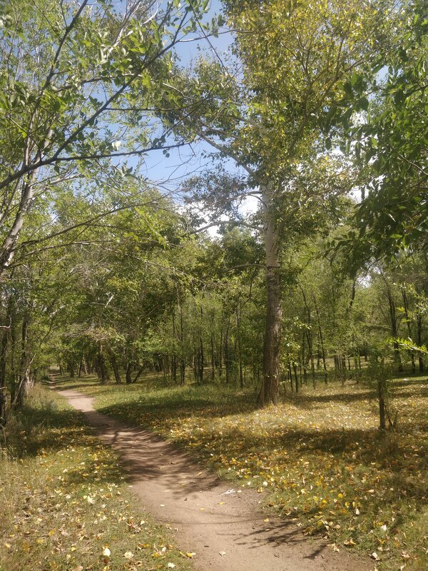 Август - Андрей Хлопонин Август - Андрей Хлопонин