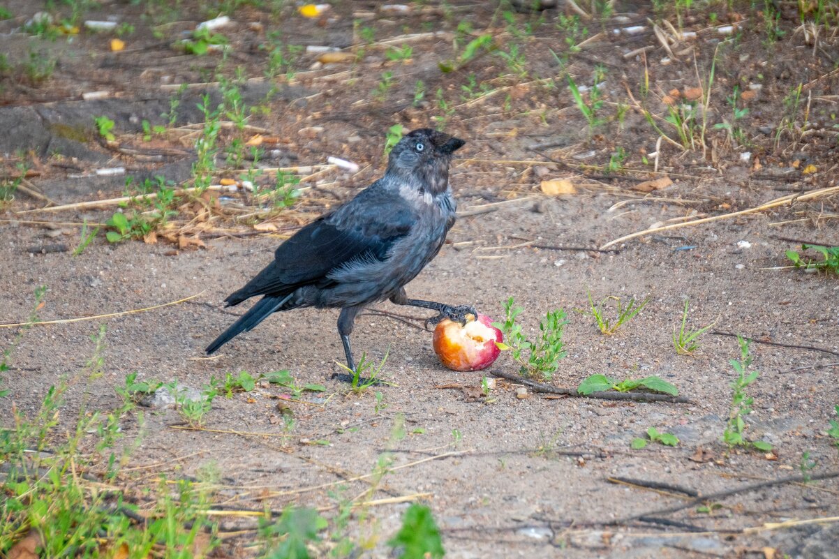 Это моя добыча - Марина Алексеева