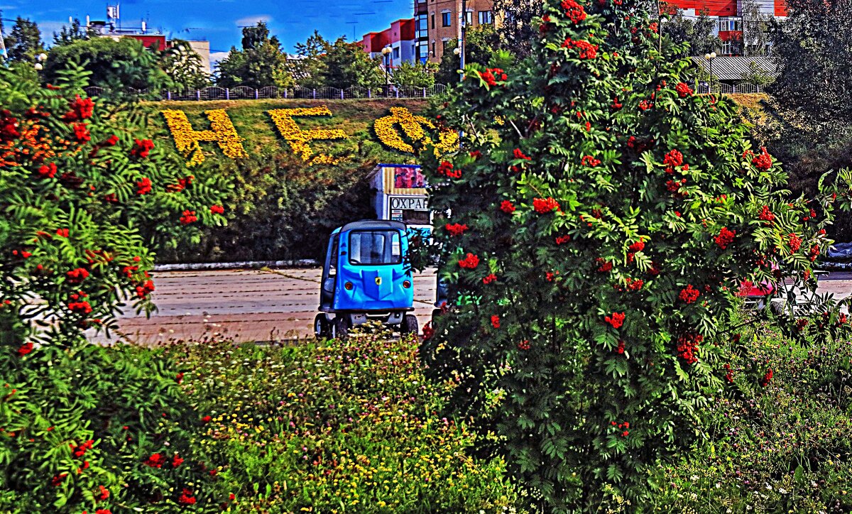 Август...Рябины. краснеют в прибрежном парке! - Владимир 