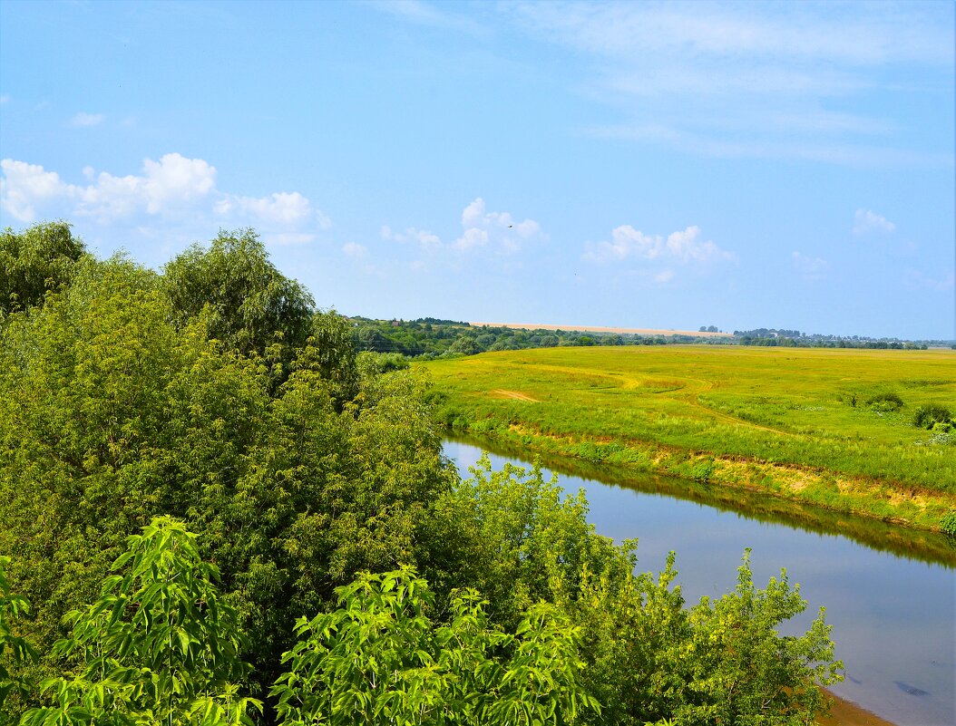 Алатырь. Пойменный лес правого берега реки Алатырь. - Пётр Чернега