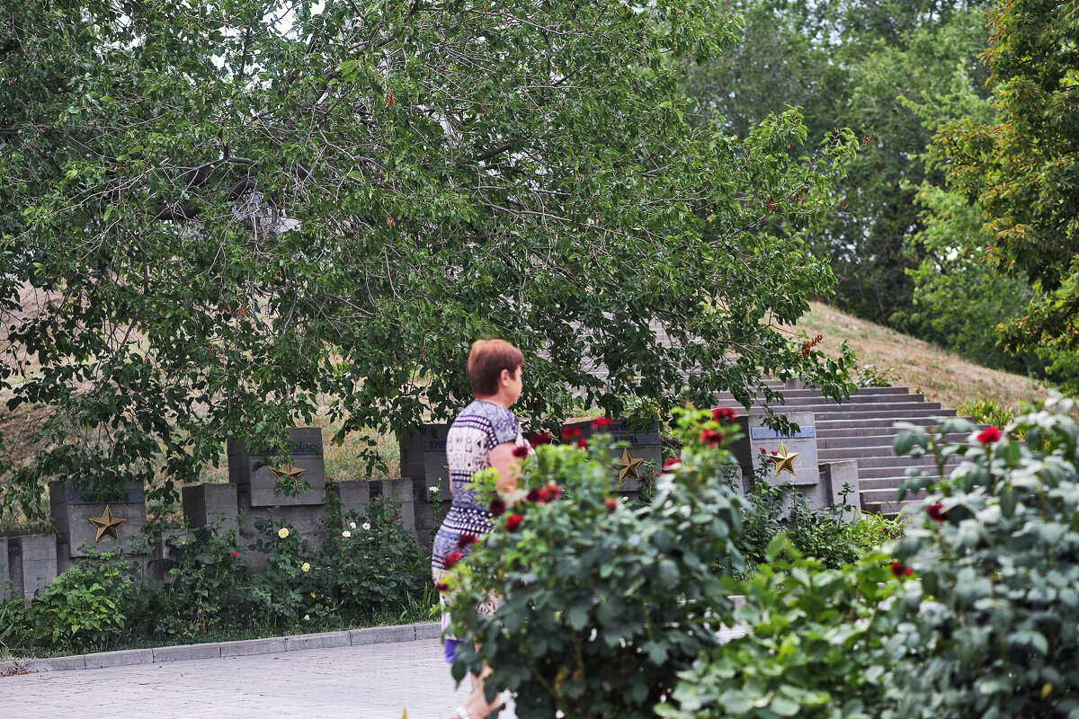 На аллее - Юрий Гайворонскiий