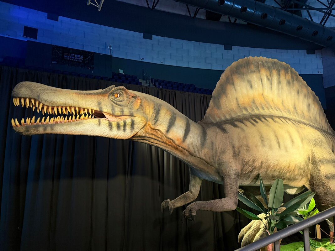 " - Светлана Хращевская