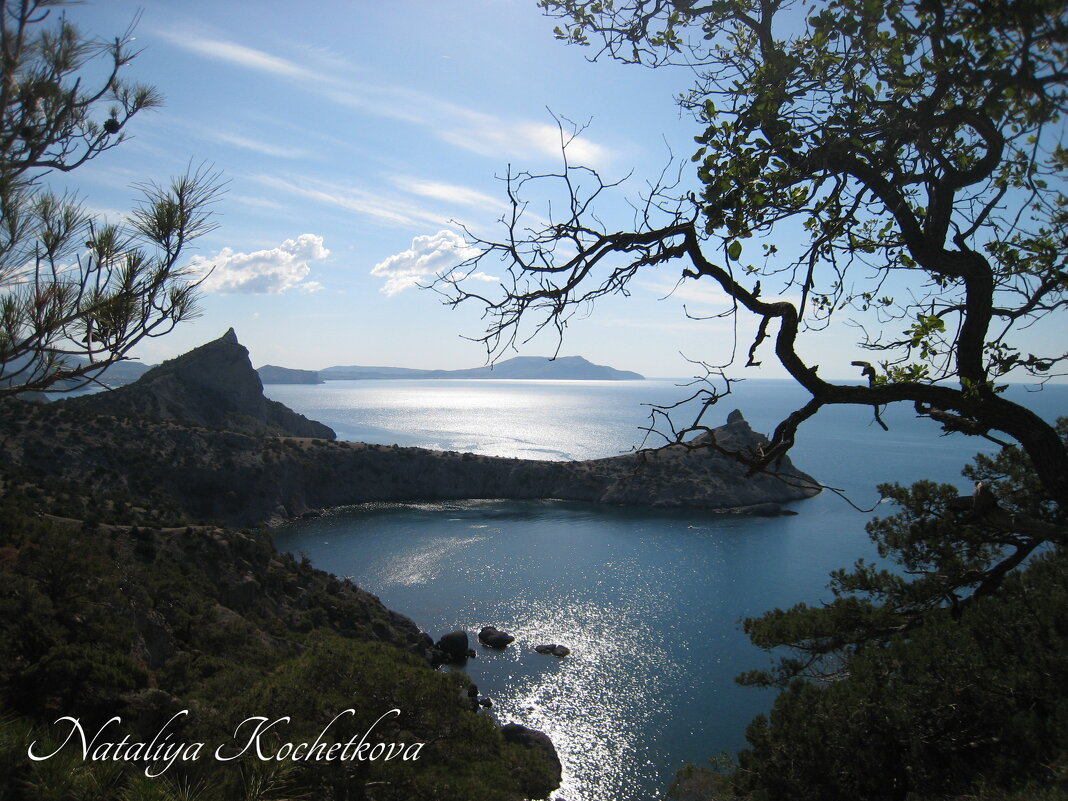 Природа Крыма - Amazing Cosmea Природа Крыма - Amazing Cosmea