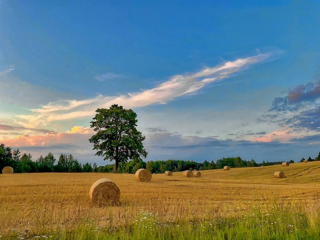 Summer 2025 4 - Arturs Ancans