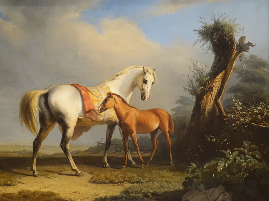 Одна из картин фламандской коллекции - Aida10 Одна из картин фламандской коллекции - Aida10