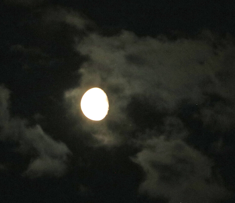 Почти полнолуние - Светлана 