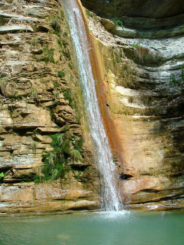 Геленджик - Андрей Л. В.