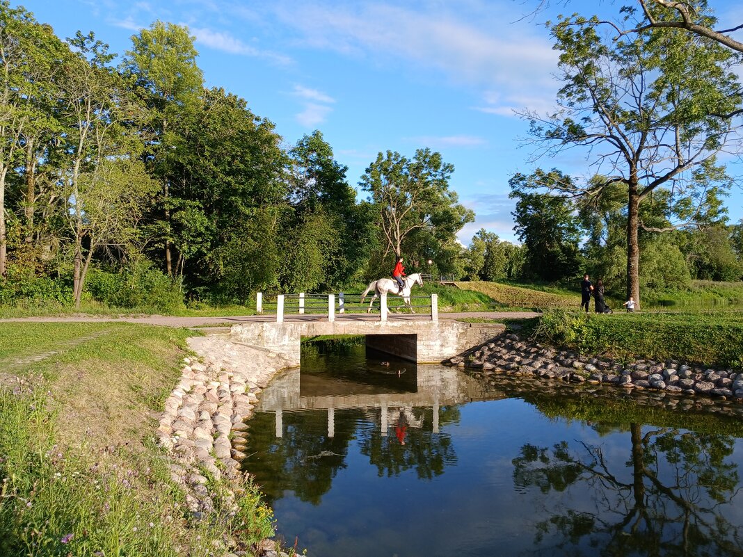 Наездница. - Лия ☼