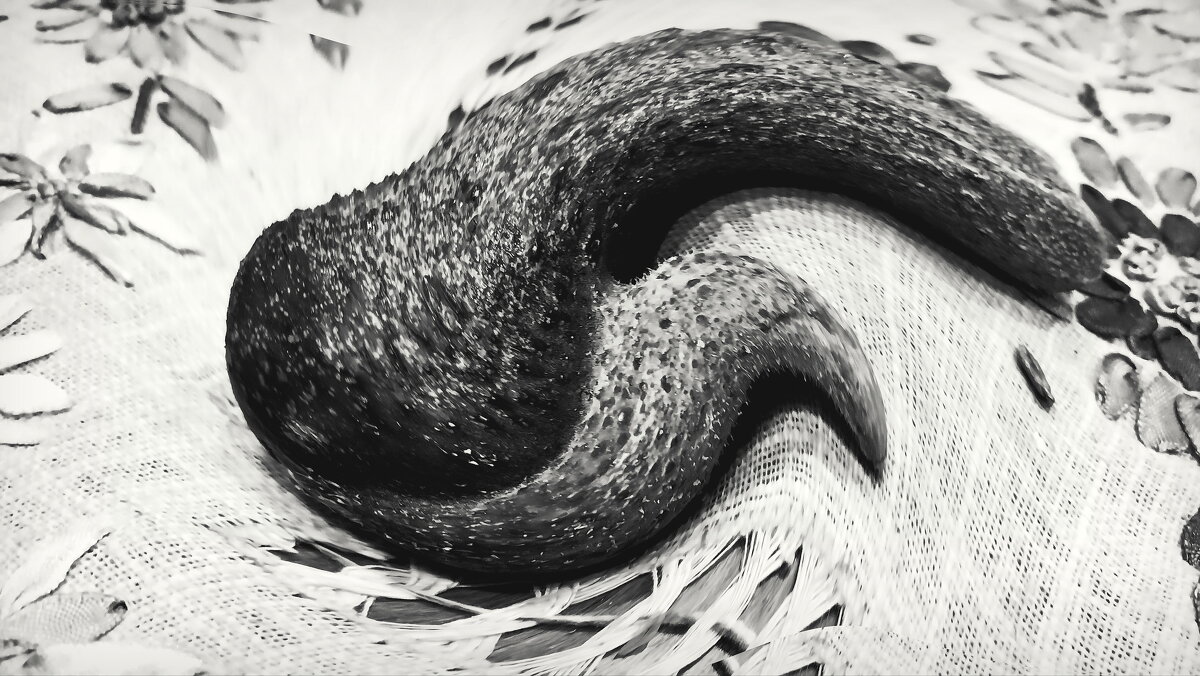 ---Nature&#39;s jokes----- - AL Reborn 