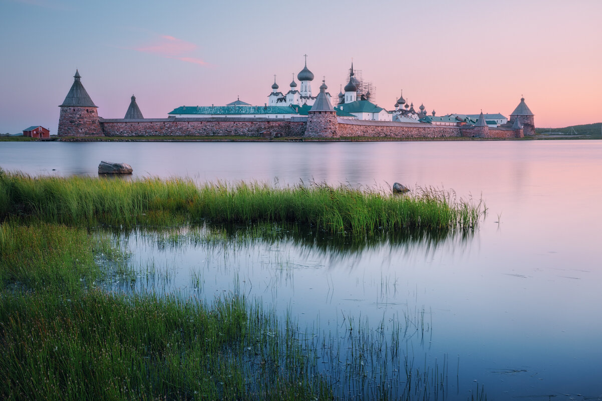 Бессоница - Дмитрий Шишкин