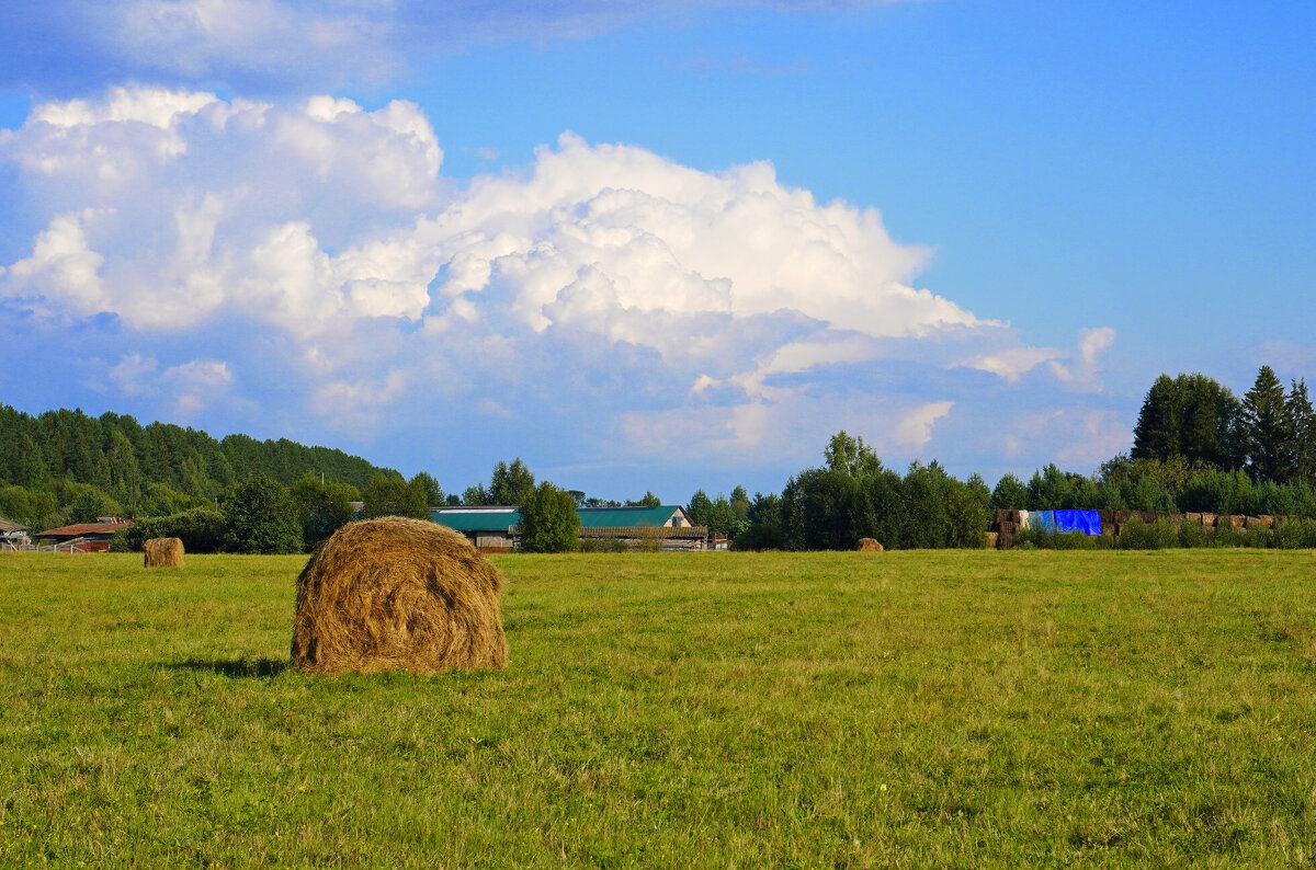 Фермерское хозяйство - Сергей Ц