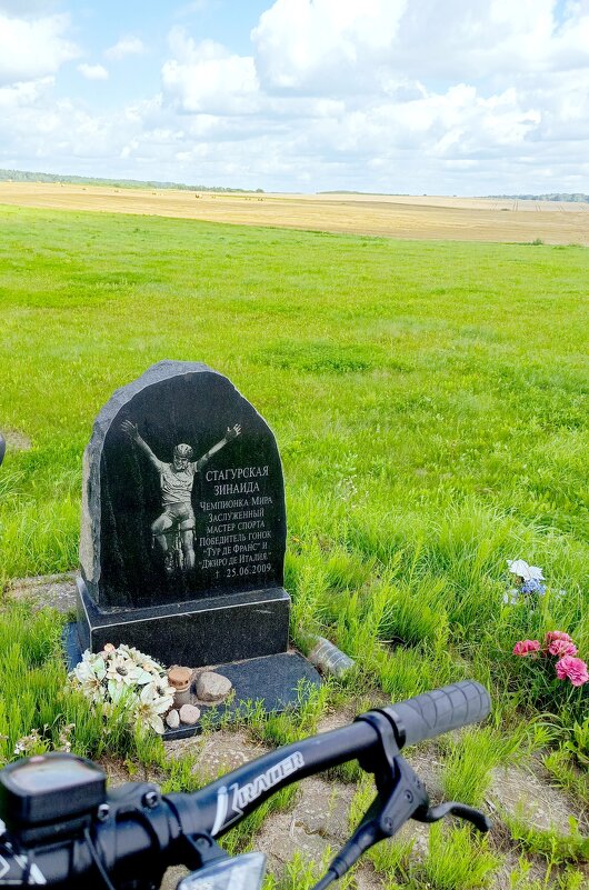 Печальный финиш чемпионки мира.... - Vladimir Semenchukov Печальный финиш чемпионки мира.... - Vladimir Semenchukov