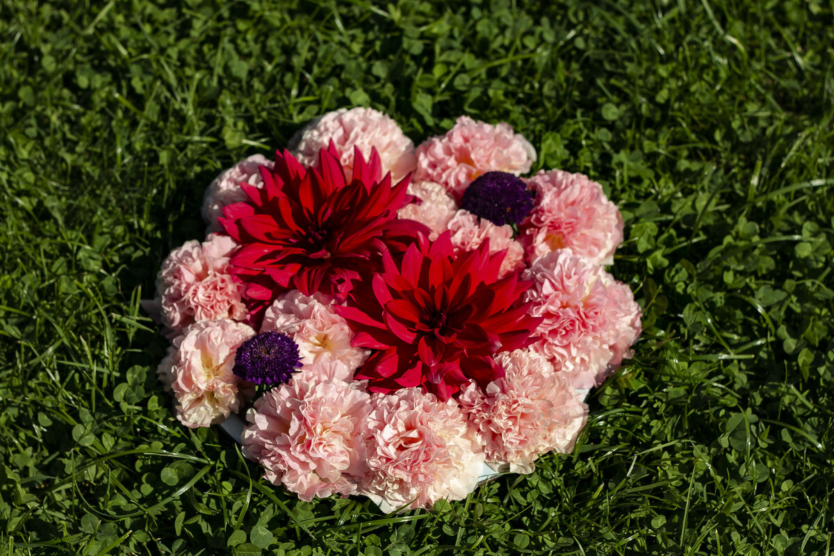 орнамент из живых цветов - Наталья Крюкова