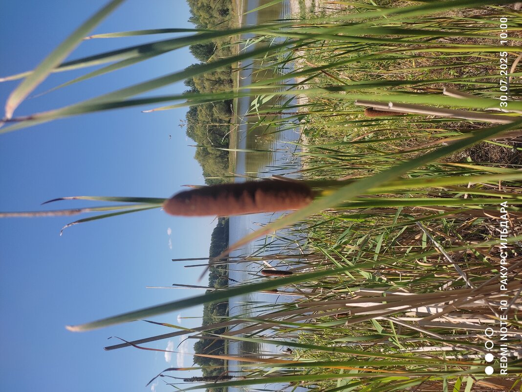 Июль - Ильдар Аббясов Июль - Ильдар Аббясов