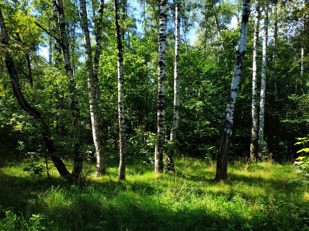 * * * - Андрей Лукьянов