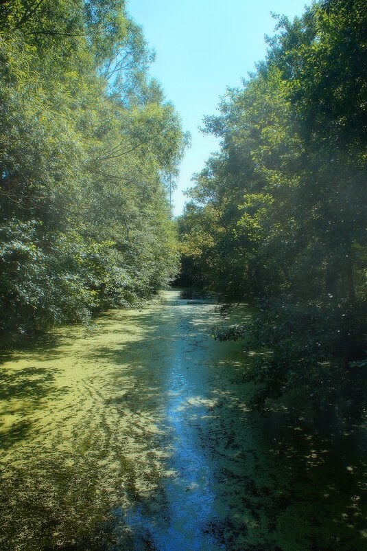 Гребнево - Леонид leo