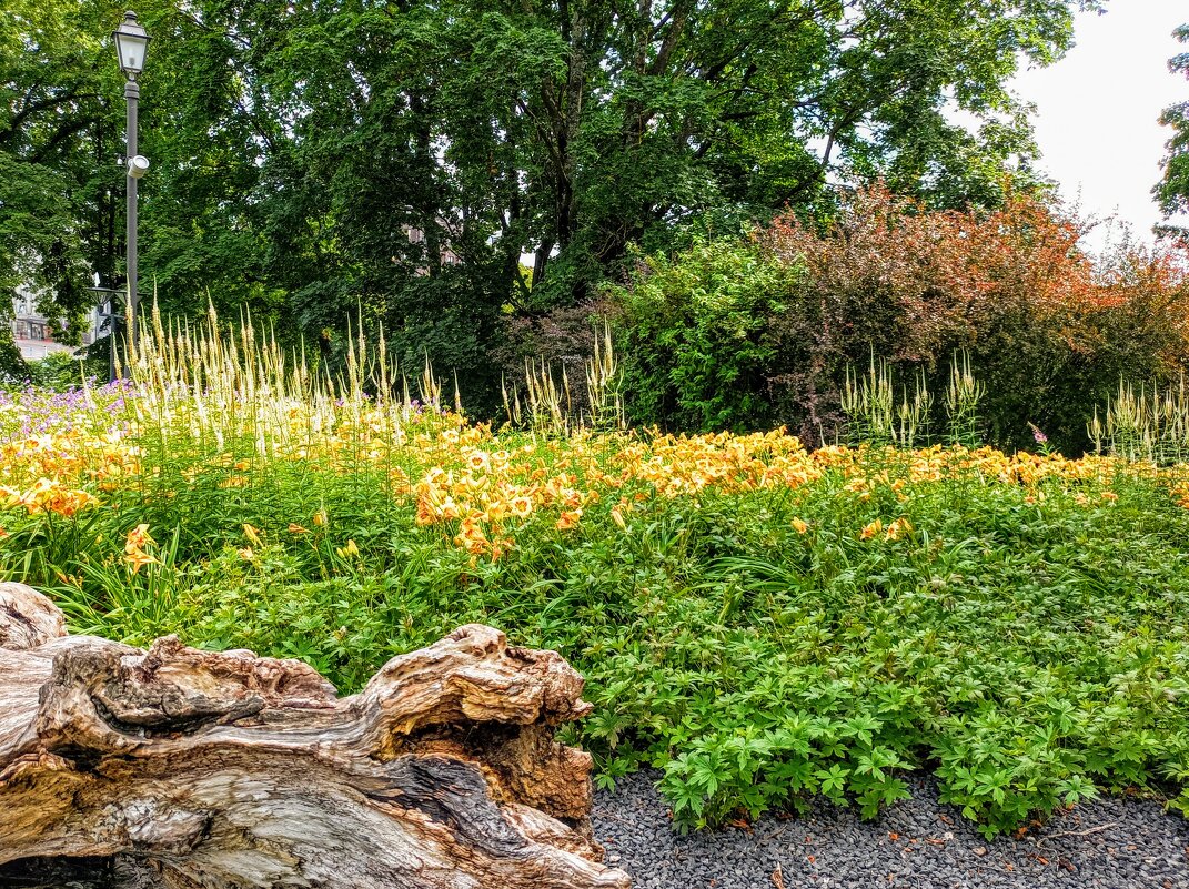 В парке на горке Харью - Veera V