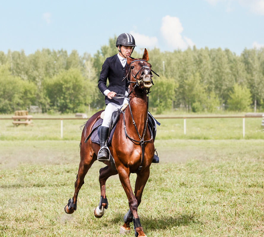 Конкур - SanSan 