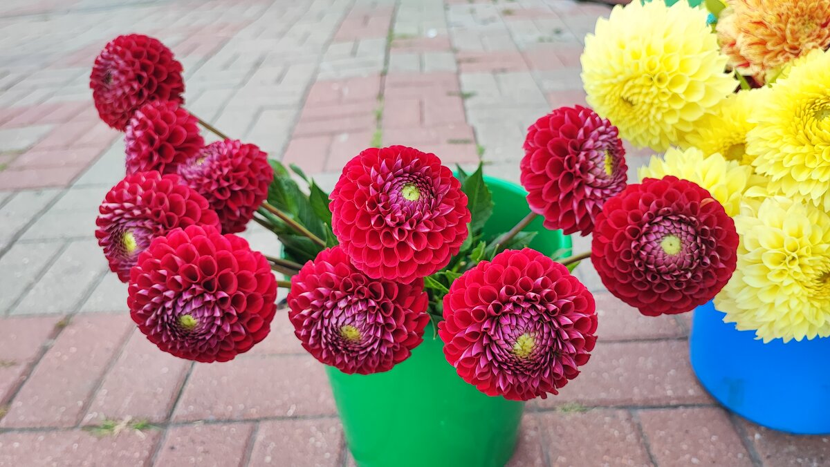 ,,, - Сергей Тимоновский ,,, - Сергей Тимоновский