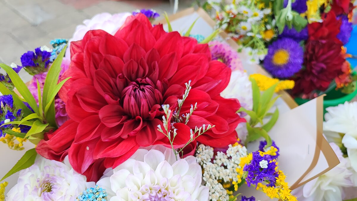 ,,, - Сергей Тимоновский