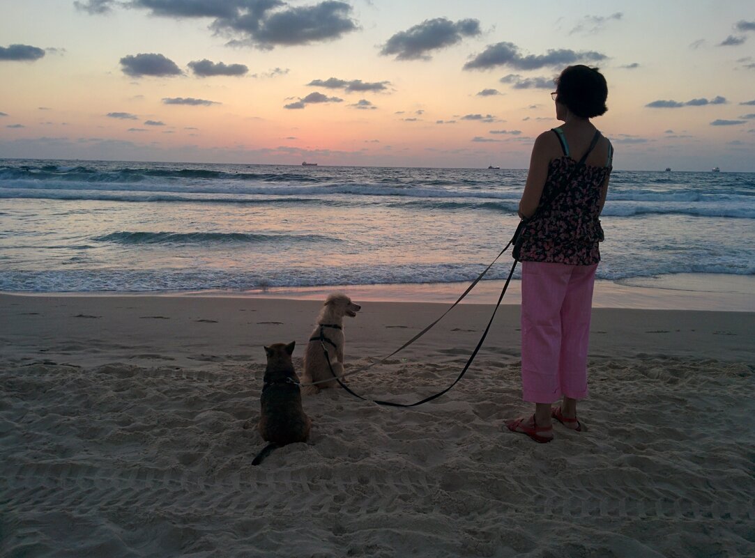 Дама с собачками - Светлана Хращевская