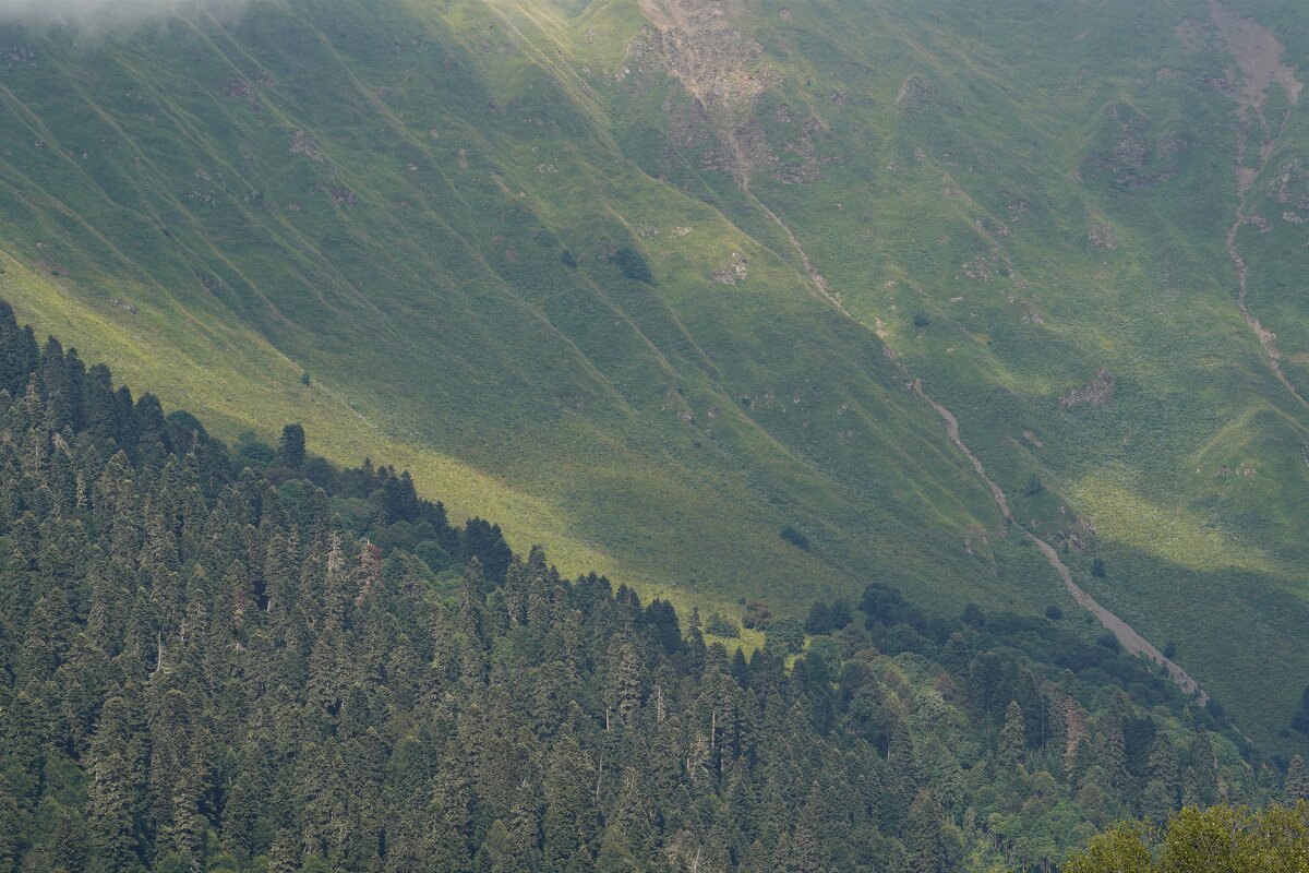 В горах - Татьяна Тюменка