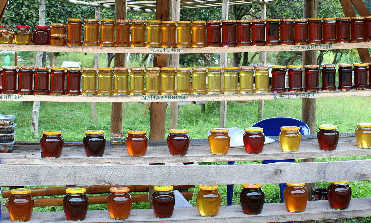 С МЕДОВЫМ СПАСОМ! - Елена Даньшина