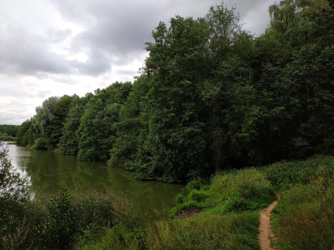 * * * - Андрей Лукьянов