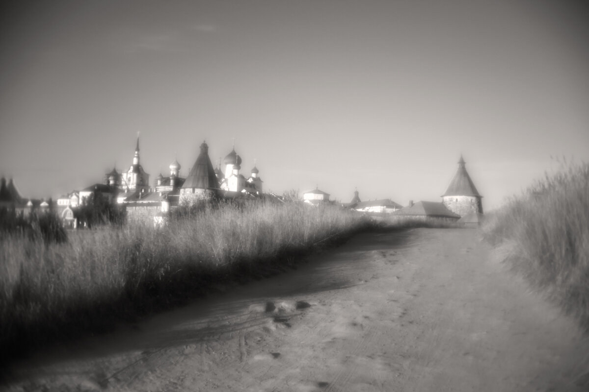 *** - Виктория Павлова