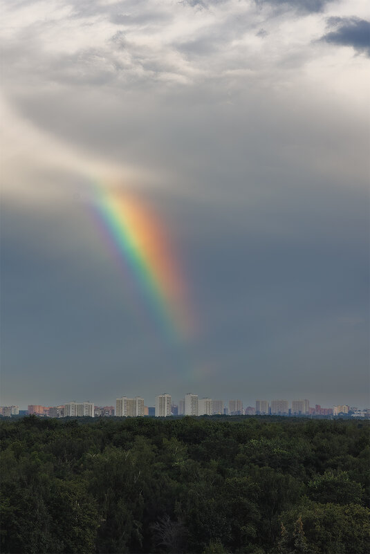 частица радуги - Michel 
