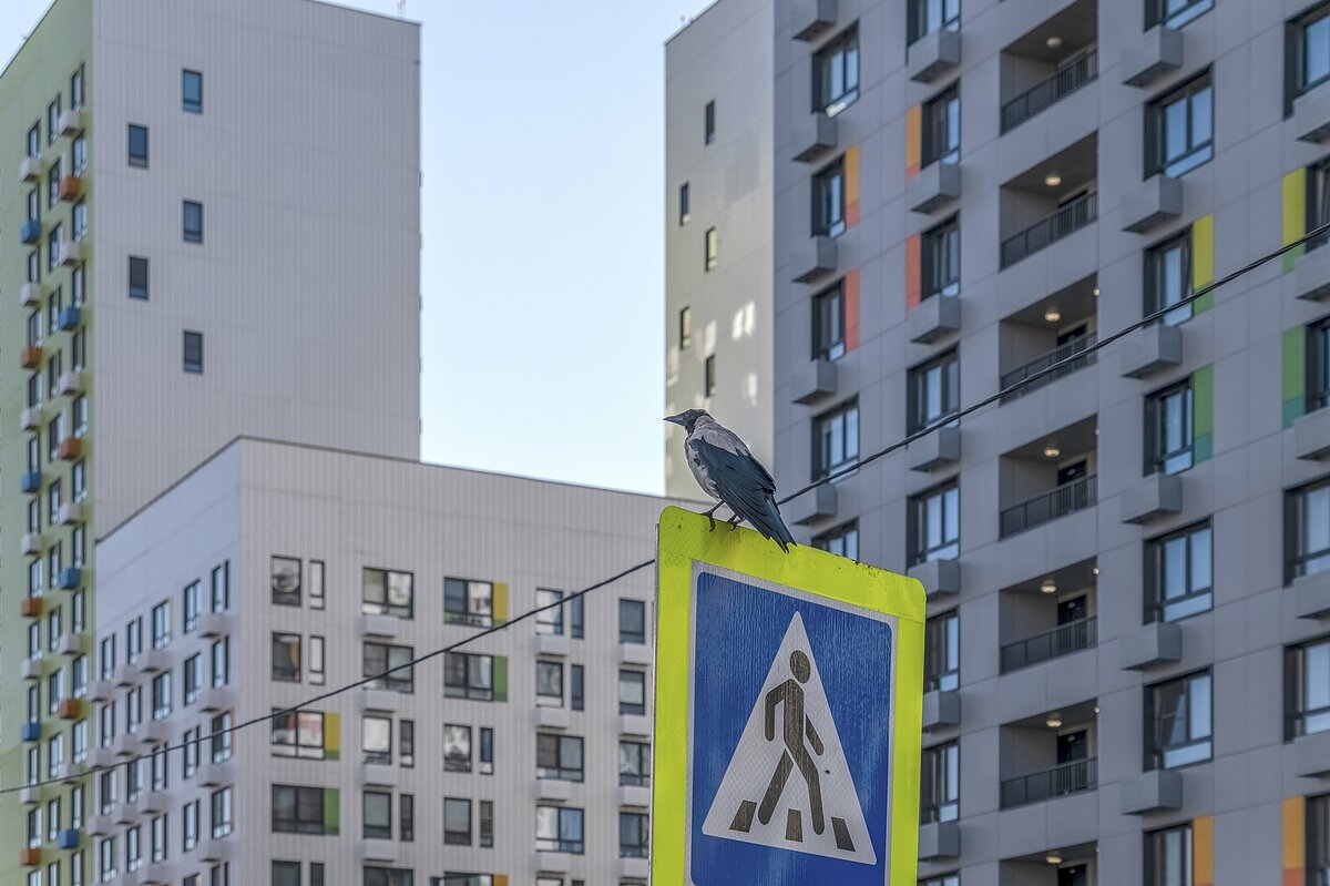 Инспектор на работе - Валерий Иванович