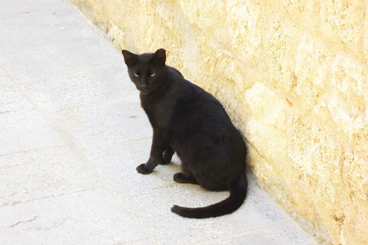 На стыке цветов - Натали 