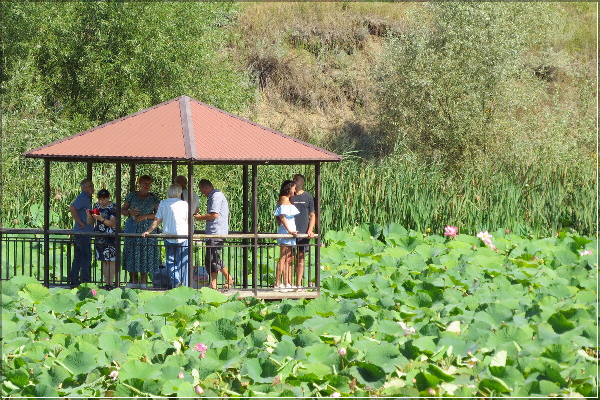 * * * - Сеня Белгородский * * * - Сеня Белгородский