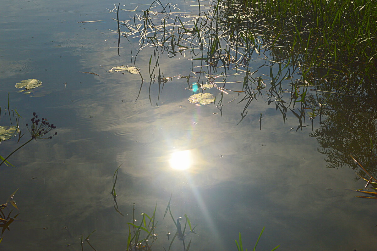 Утреннее купание солнца - Татьяна Лютаева