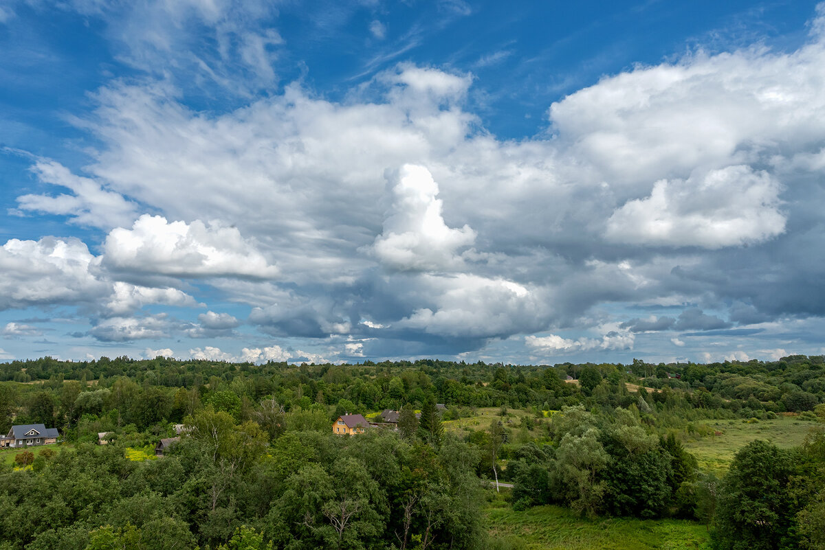 *** - Виктор Желенговский *** - Виктор Желенговский