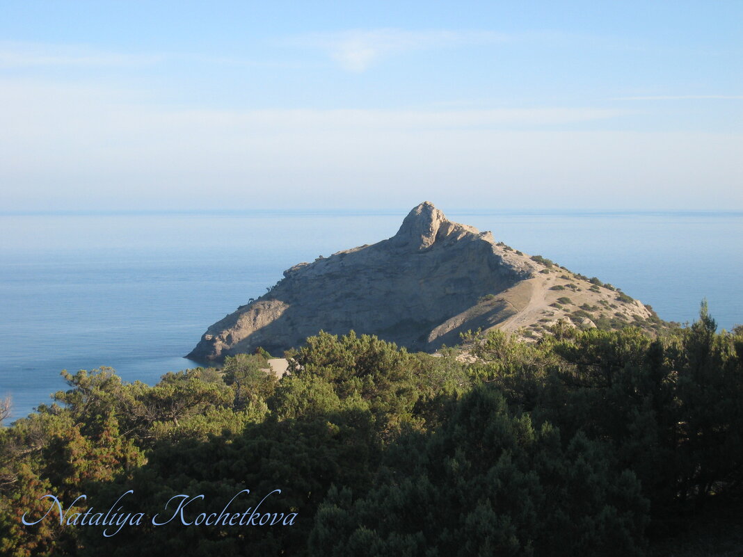 Природа Крыма - Amazing Cosmea