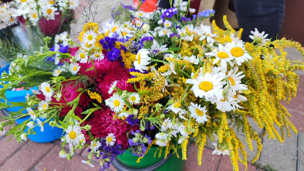 ,,, - Сергей Тимоновский ,,, - Сергей Тимоновский