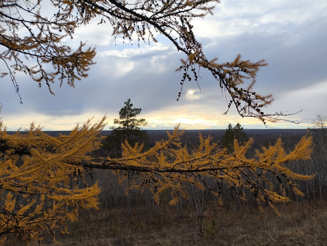Вечер - Anna Ivanova