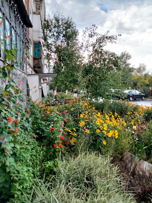 Цветущий двор - Динара Каймиденова