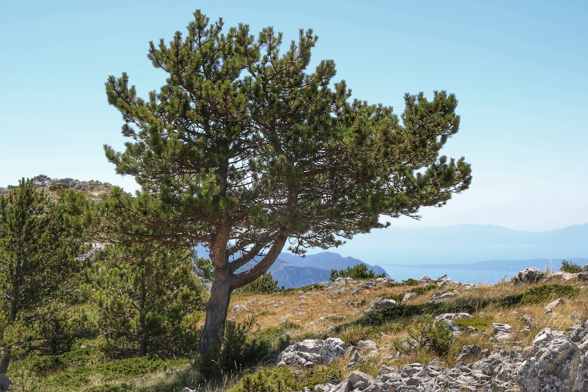 национальный парк Биоково - Светлана Баталий