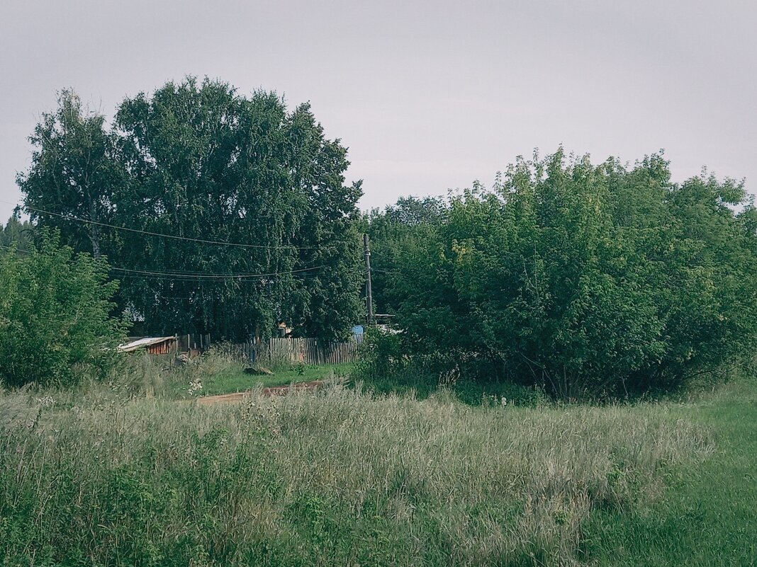 Натуральность, деревни. - Игорь Солдаткин