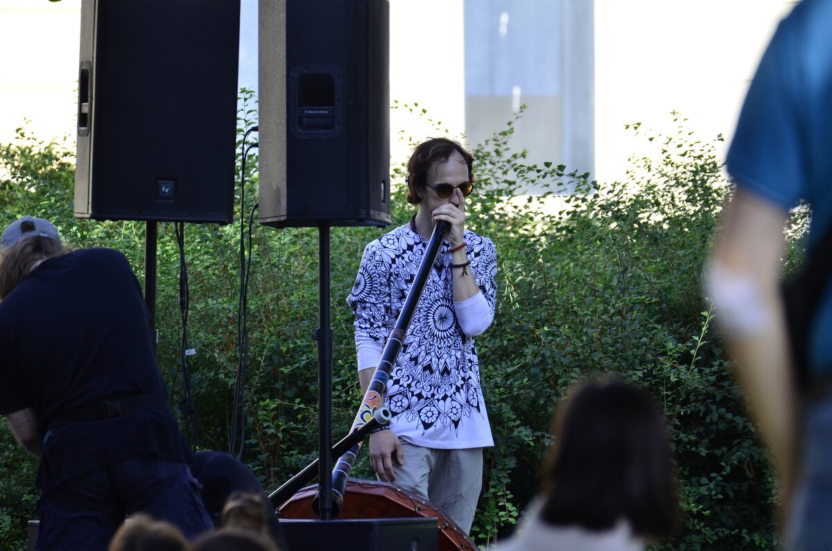 Музыкант - Наталья Вязигина