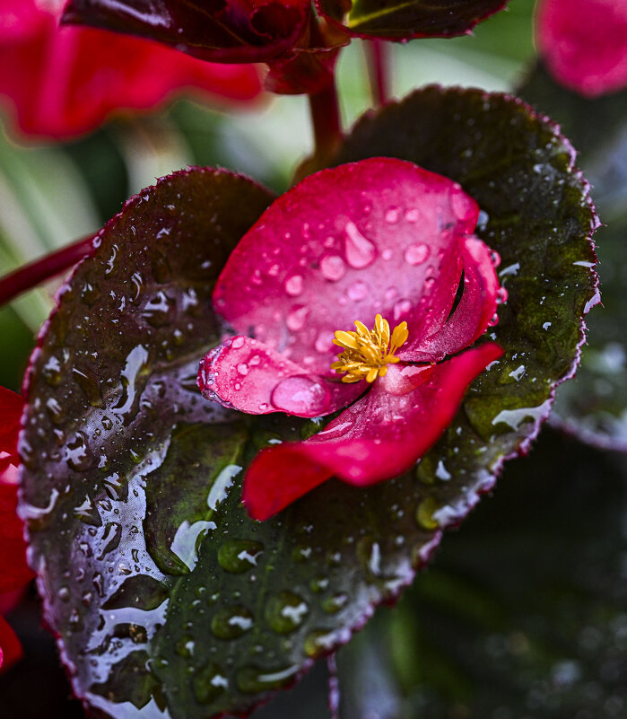 * - Осень * - Осень