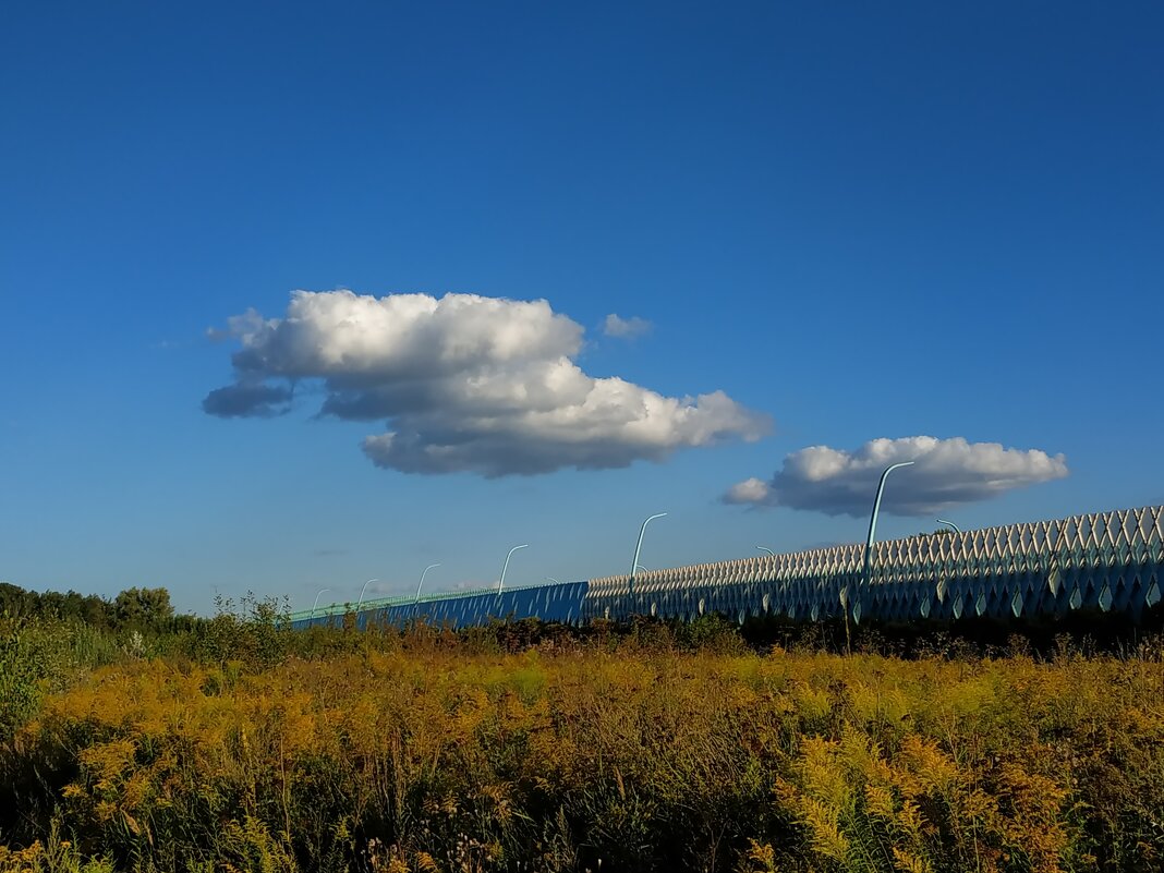 * * * - Андрей Лукьянов