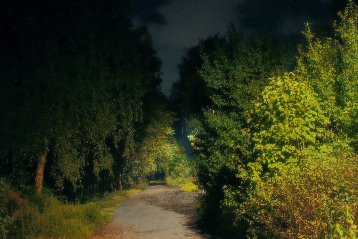 Ночной пейзаж - Леонид leo Ночной пейзаж - Леонид leo