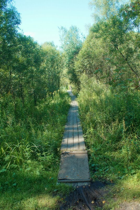 Чёртов мостик - Леонид leo